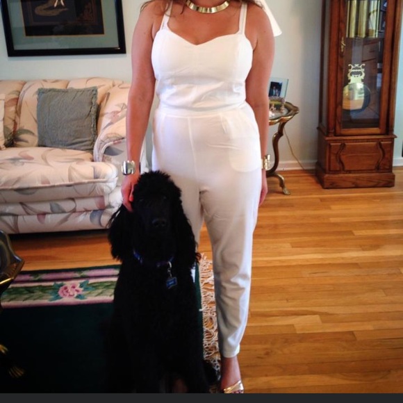 White Jumpsuit with Fitted Bodice - Picture 3 of 8